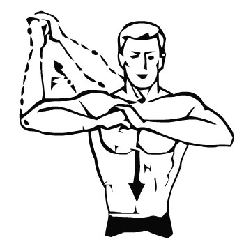 Упражнения для мышц рук плечи
